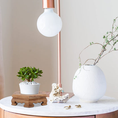Cabilock Rosewood Base Decorative Flowerpot Stand 4.72 Inch Round Wooden Display Pedestal for Indoor Outdoor Plant Holder Home Garden Decor