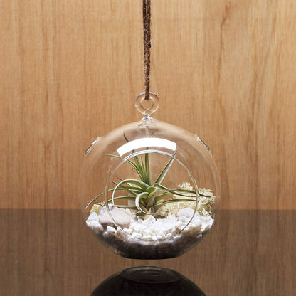 WGV Hanging Terrarium Globe, Width 4", Height 4.75", DIY Air Succulent Planter, Clear Glass Vase Orb with Flat Bottom, Candle Holder for Windowsill Outdoor Garden Decor, 12 Pieces Bulk