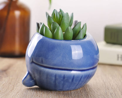 VanEnjoy 5" Ocean Blue Seashell Series Conch Shaped Cactus Planter, Flower Pot, Bonsai Pot (Dark Blue Whale)