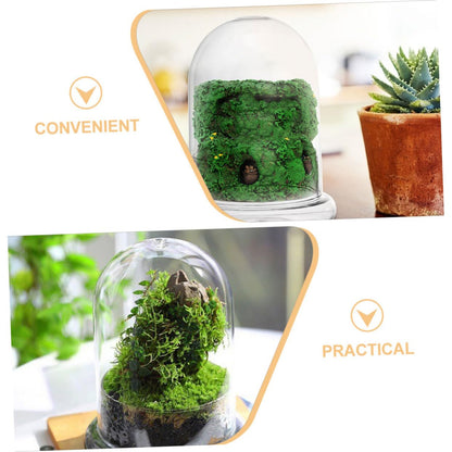Sosoport Glass Eco Bottle Terrarium Supplies Bell Jar Dome Plant Holder DIY Decor