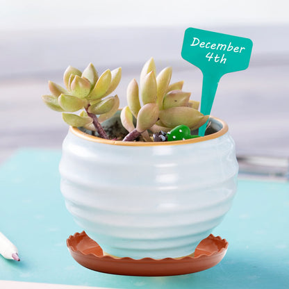 Aynaxcol 12 Pack White Plant Trays 3 Sizes Plastic Round Wave Plant Saucer Flower Plant Pot Saucer Terracotta Drip Trays for Indoor Outdoor Flower Pots and Planters, with 20pcs Green Plant Labels