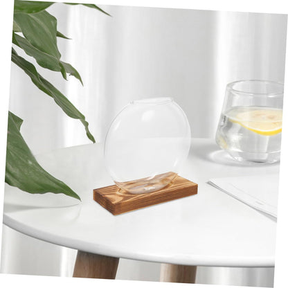 CVUTOVO 2pcs Plant Propagation Station Glass Vases with Wooden Stand, Hydroponic Indoor Plant Terrarium for Home and Office Décor