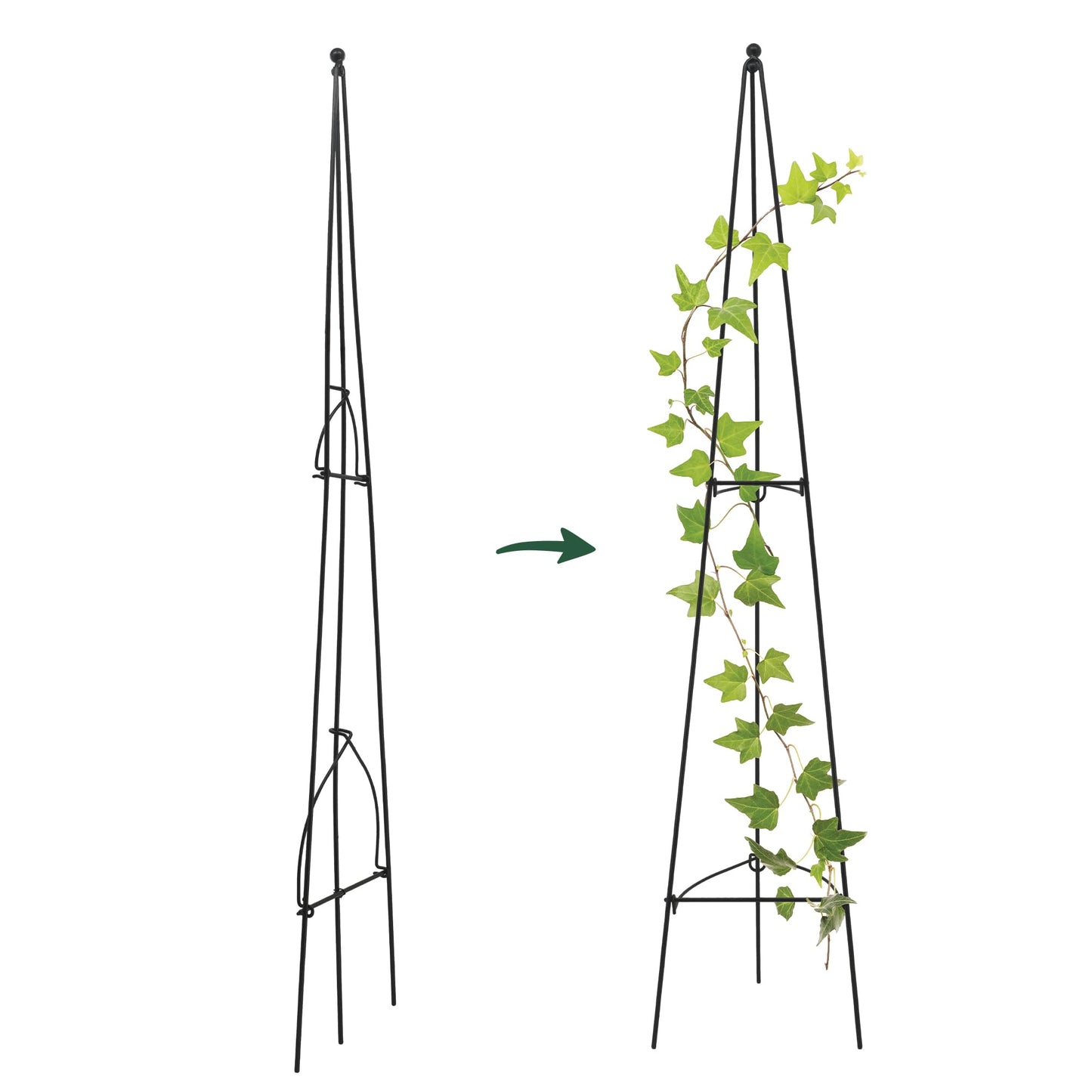 Arcadia Garden Products – No Assembly Required – 4 ft Folding Metal Obelisk Trellis for Climbing Plants – Plastic-Coated Grow Support for Indoor Outdoor Flowers, Vegetables, Vines, Ivy