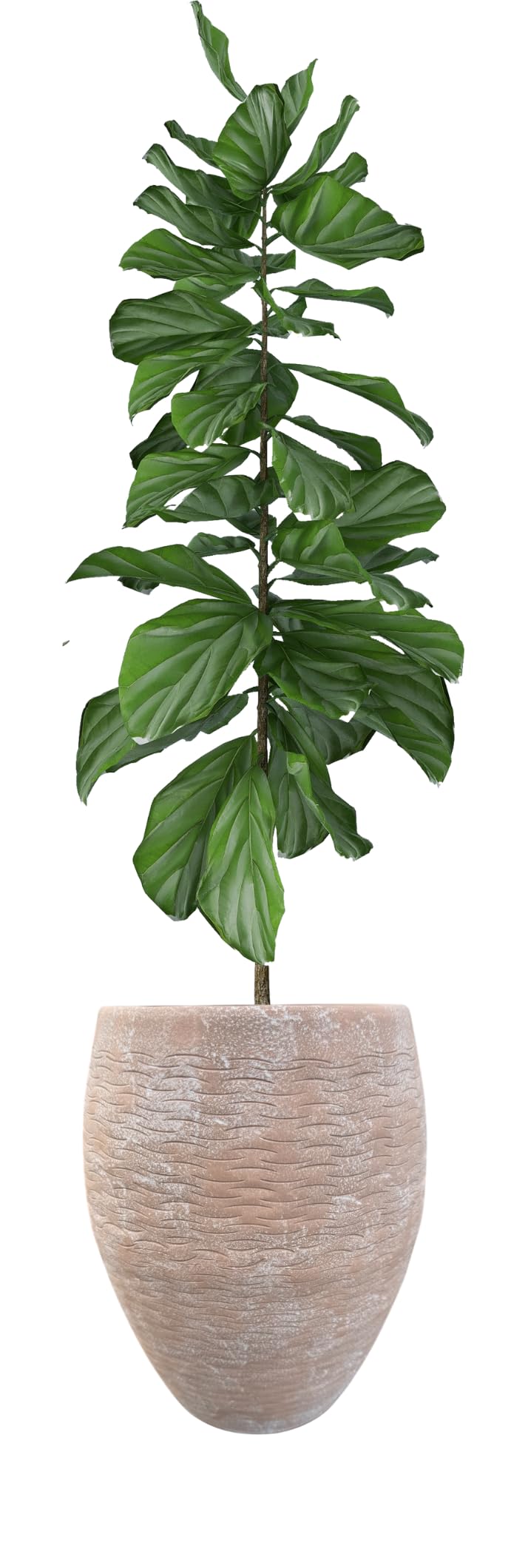 Ludu Washed Terracotta Modern Handmade Metal Indoor Planter with Textured Wave Design and Anti-Scratch Pads, Rust-Resistant Finish for Outdoor Use, Sustainable Non-Plastic Pot Recyclable Metal Vase