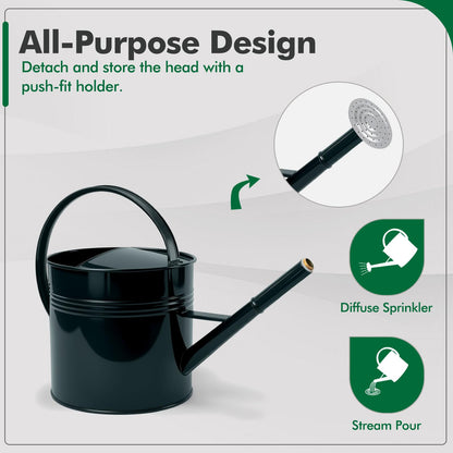 Galvanized Iron Watering Can for Indoor Plants, Oval Watering Cans for House Plant Garden Flower, Long Spout Water Can for Outdoor Watering Plants 9.46L 2.5 Gallon