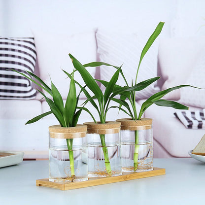 GALPADA Glass Flower Vase Set 2pcs 6.5cm X 10cm with Corked Hole for Indoor Hydroponic Plants and Moss Terrarium Home Decor Floral Arrangement Container