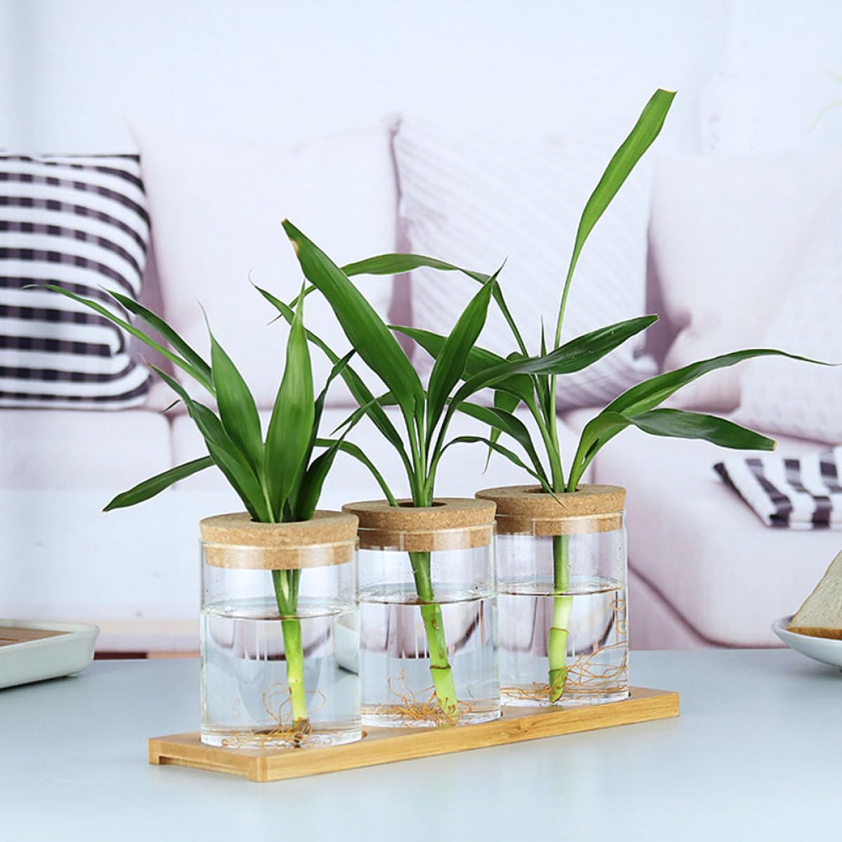 FOMIYES 2pcs Glass Flower Bottle Vase for Hydroponics with Cork Stopper, 6.5cm X 10cm Glass Home Decor Planter for Indoor Plants and Moss Terrarium