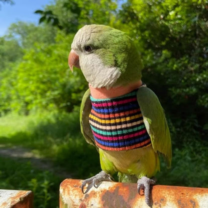 Bird Clothes - Handmade Cotton Stripe Shirt Round Collar Sweater Flight Suit for Parrots African Greys Parakeet Cockatiel Sun Conure Christmas Halloween (with Diaper,Macaw)