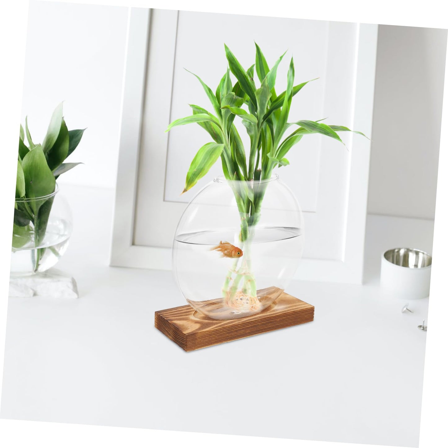 Totority Desktop Hydroponic Glass Plant Propagation Station with Transparent Vase and Wooden Base Soil Indoor Terrarium for Home Office Decoration and Tea Ceremony Display