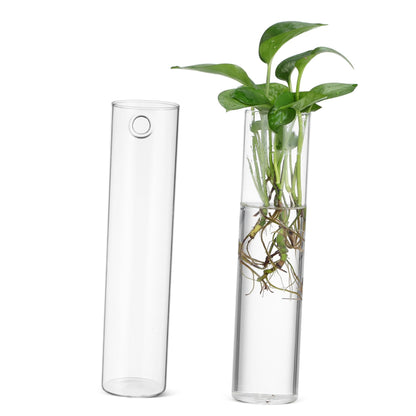 Ciieeo 2pcs Hanging Glass Planters Wall Vases Cylinder Shape for Indoor Plants Secure Mounting Terrariums Propagation Stations Home Office Decor
