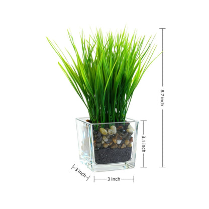 PeacefulHues 3-Pack Artificial Grass in Glass Planters, Small Faux Greenery for Desks, Shelves & Indoor Spaces, Modern Tabletop Decorative Plants (3×3×8.7 in)