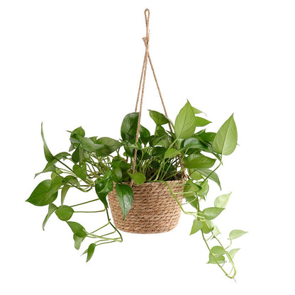 HAOHIZE Hanging Planters for Indoor Plants, Hanging Planter with Jute Rope Woven Hanging Flower Pots Hanging Plant Holder Hanging Basket Retro Style Straw Basket for Office Party (1 Pack)