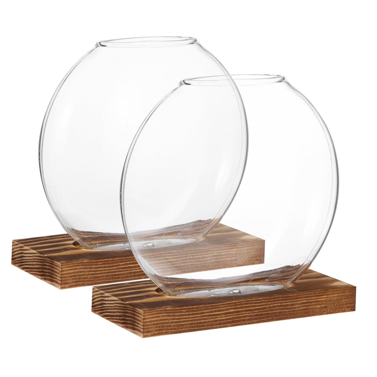 BESPORTBLE 4sets Glass Plant Terrarium Wall Garden Indoor Decorative Plant Vase for Home Decor