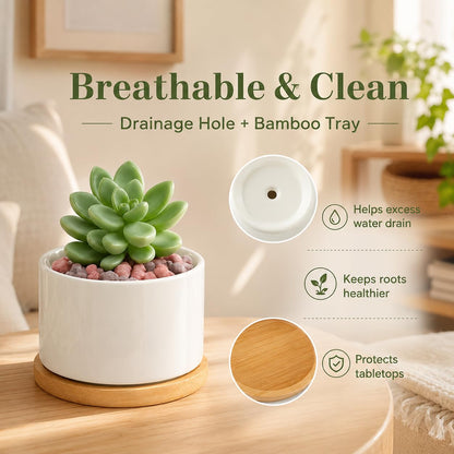 ZOUTOG Ceramic Succulent Pots,3.6 Inch Plant Pots,Succulent Planters with Drainage Hole & Bamboo Tray for Indoor Plants,White Small Flower Planters for Home,Office,Desk(6 Pack)
