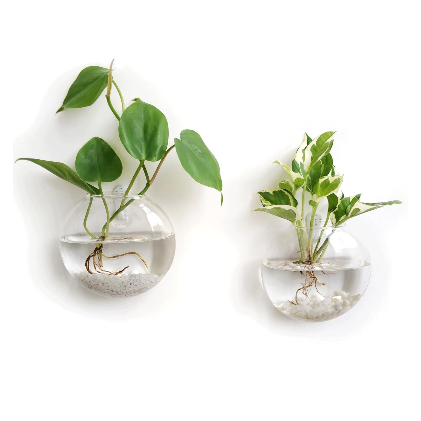 Mkono Wall Hanging Glass Terrariums Planter Oblate Flower Vase for Hydroponics Plants, Bathroom, Home Office Living Room Decor, Set of 2（Plants not Included）