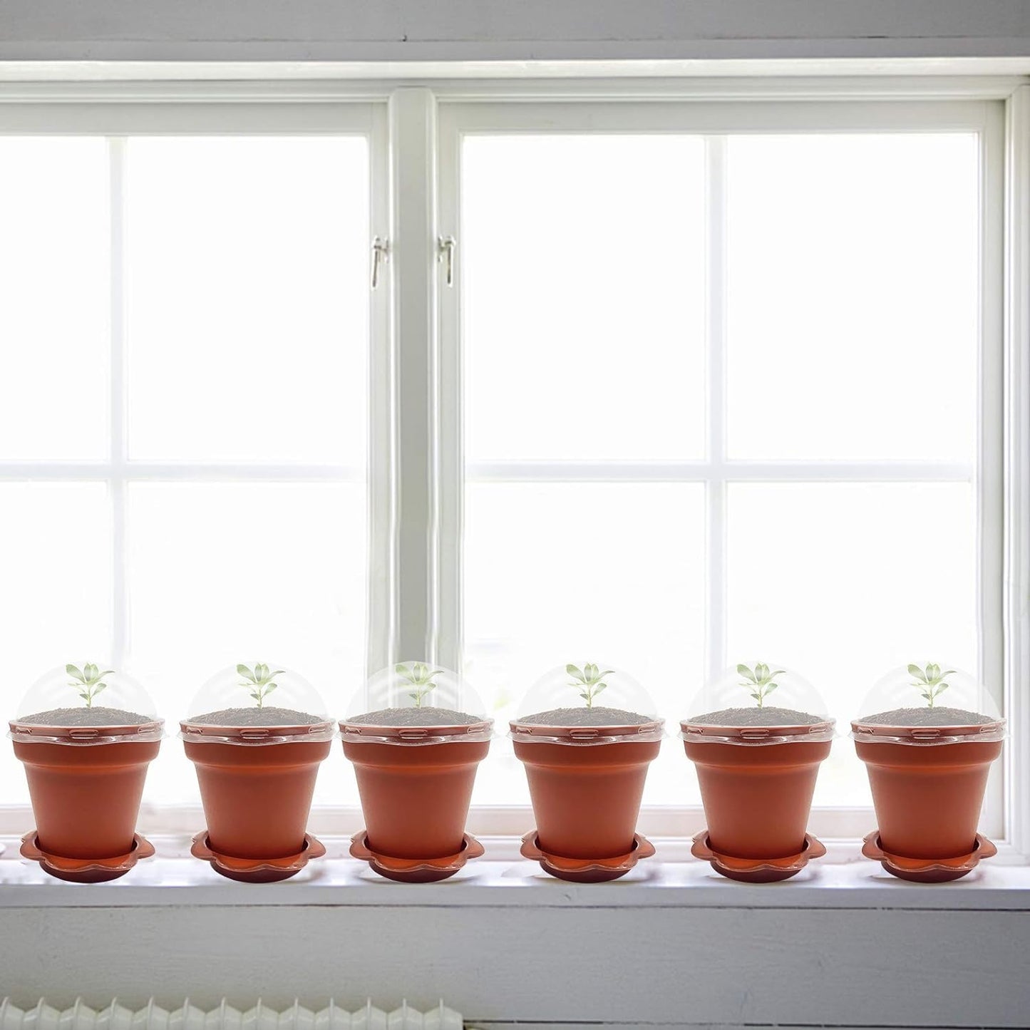 PURPLE STAR 1N 50 Packs Cupcake Plant Nursery Pots with Humidity Dome- Planting Containers Cups- Small Flower Pots with Trays & Lids for Indoor Outdoor Seedling Succulent Vegetable (Wine Red)