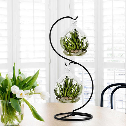 CXLE 2pcs Ornament Display Stand, Ornament Hanger Stand for Hanging Glass Globe Air Plant Terrarium, Witch Ball, Christmas Decor and Home Wedding Decoration