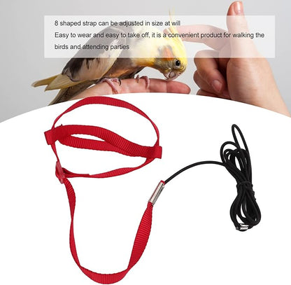 Elastic Parrot Harness Leash Bird Leash Bite Proof Harness Adjustable Parrot Flying Training Rope with Metal Hook Nylon Webbing for Cockatiels Walking (XL)