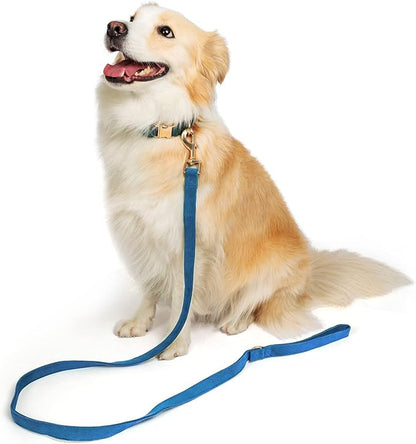 Soft Corduroy Dog Collar and Leash Set Adjustable Durable Dog Collars with Metal Buckle and Lead for Small Dogs,Royal Blue