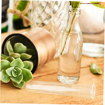 Zerodeko 5pcs Glass Propagation Tubes for Live Plants Hydroponic Test Tube Planter Transparent Glass Vases for Home Office Terrarium Cuttings Root Observation