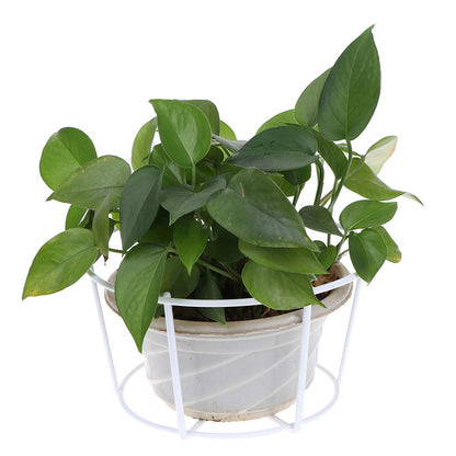 Hanging Railing Planters Baskets Balcony Flower Pot Holders Plant Iron Racks Fence Metal Potted Stand Mounted Balcony Round Plant Baskets Shelf Container Box for Indoor&Outdoor Use,Garden Steel Pots