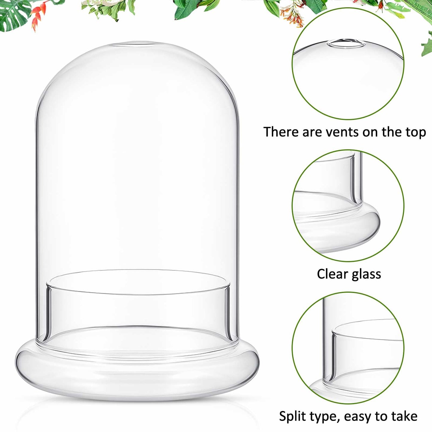 Perthlin 2 Pcs 4.7 x 6.3 Inch Glass Terrarium Clear Terrarium Planter Container Glass Dome Cloche with Airhole and Base for Plant Flower Home Tabletop Display Centerpiece, Plants Not Included