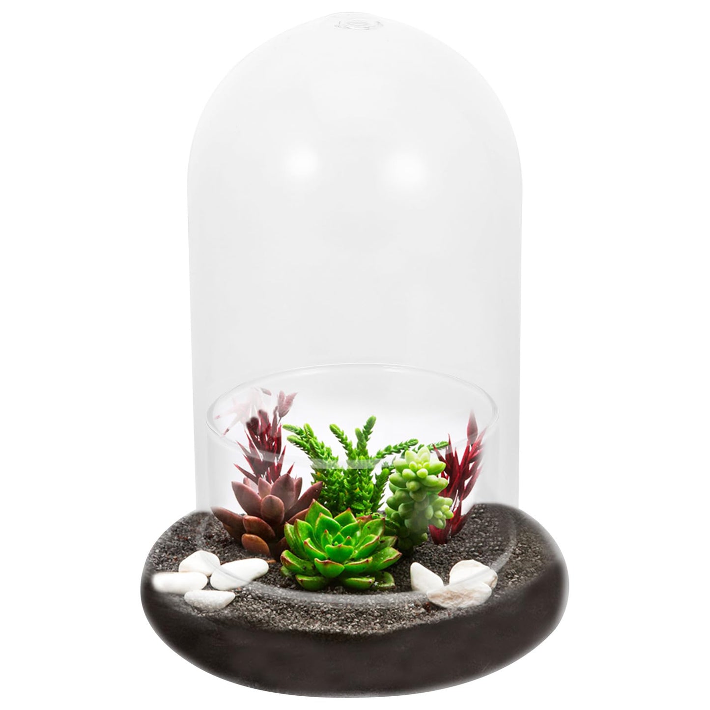 2pcs Cloche Glass Dome with Air Hole and Base, Clear Glass Terrarium Plants Bell Jar Humidity Dome for Smallplants, Home Indoor Tabletop Decoration (No Plants)