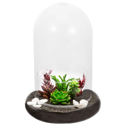 2pcs Cloche Glass Dome with Air Hole and Base, Clear Glass Terrarium Plants Bell Jar Humidity Dome for Smallplants, Home Indoor Tabletop Decoration (No Plants)