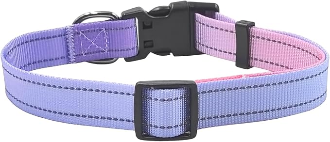 Dog Collar Leash Set, Gradient Color, with Safety Reflective Strips, 5 ft Matching Leash, Neoprene Padded Handle, Adjustable 4 Sizes for Small Medium Large Dogs.(XS, Lilac Pink)