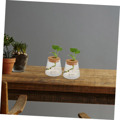 UTHCLO 2Pcs Clear Glass Desktop Vases for Hydroponics Plants Smooth Terrarium Planter Jars for Office Home Garden Decoration