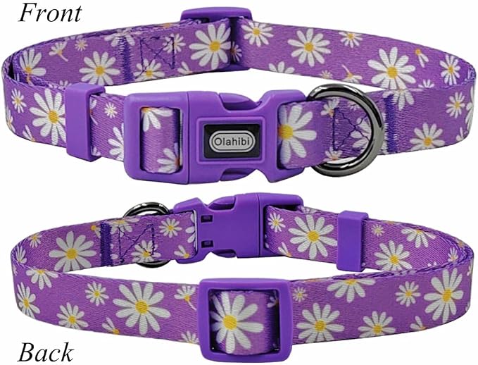Dog Collar Leash Set, Floral Pattern, Polyester Material, Adjustable Collar and 5ft Matching Leash, for Puppy Dogs.(XS, Purple Daisy)
