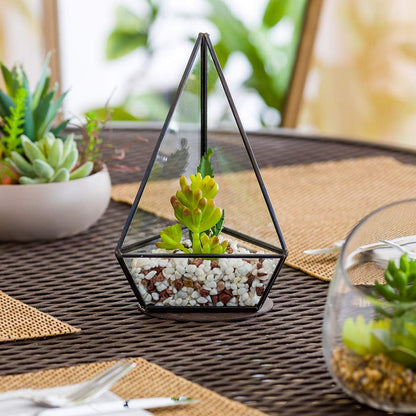 Restaurantware-8.5 x 5 x 3.5 Inch Faux Succulent, 1 Artificial Succulent - In Triangular Glass Terrarium, Use As Table Or Shelf Decor, Centerpiece, Black Plastic Fake Desk Plant, Geometric