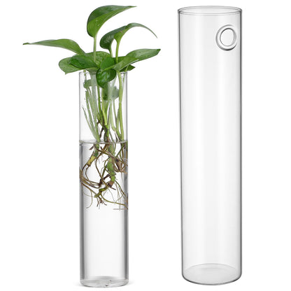 GETAJGHSD Cylinder Glass Wall Vase Set for Hydroponic Plants, 2pcs Hanging Glass Containers, Modern Wall Mounted Flower Vases for Indoor Terrarium Decor