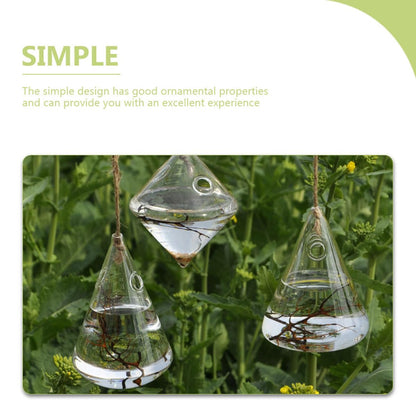 NUSITOU Geometric Glass Wall Hanging Vase Set of 3 Hydroponic Glass Containers Terrarium Flower Pots for Home Décor and Wall Mounted Plant Propagation