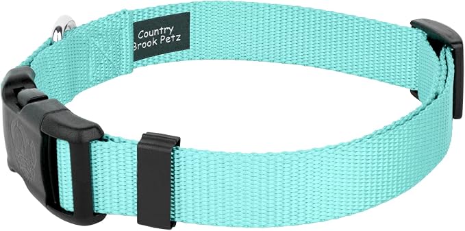 Country Brook Petz - Everyday Nylon Dog Collar and Leash - 10+ Cool Colors (3/4 Inch, Small, Light Cyan)