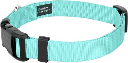 Country Brook Petz - Everyday Nylon Dog Collar and Leash - 10+ Cool Colors (1 Inch, Large, Light Cyan)