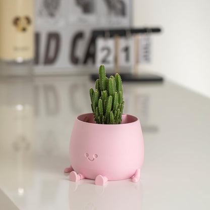 TOPOLA Happy Face Planter, 5.2 Inches Plastic Plant Pot, Self Watering Plant Pot with Drainage Holes for Indoor Outdoor, Succulent Pot, Funny Flower Pot, Sakura