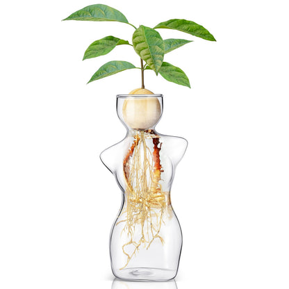 Avocado Propagation Vases for Plants Glass Flower Elegant Female Silhouette Avocado Growing Arrangements Art Vases for Seed Starting Water Rooting Home Decor Bulbs Plant Cuttings
