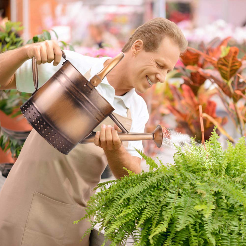Megawodar 1 Gallon Metal Watering Can with Removable Spout, Nice Galvanized Steel Water Can with Embossed Design for Indoor and Outdoor Plants