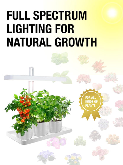 TORCHSTAR Indoor Herb Garden with LED Grow Light, Height Adjustable, 20W Growing System with Automatic Timer, CRI 95+, Full Spectrum Plant Light for Seeds, Vegetation, Home, White, No Pots or Plants