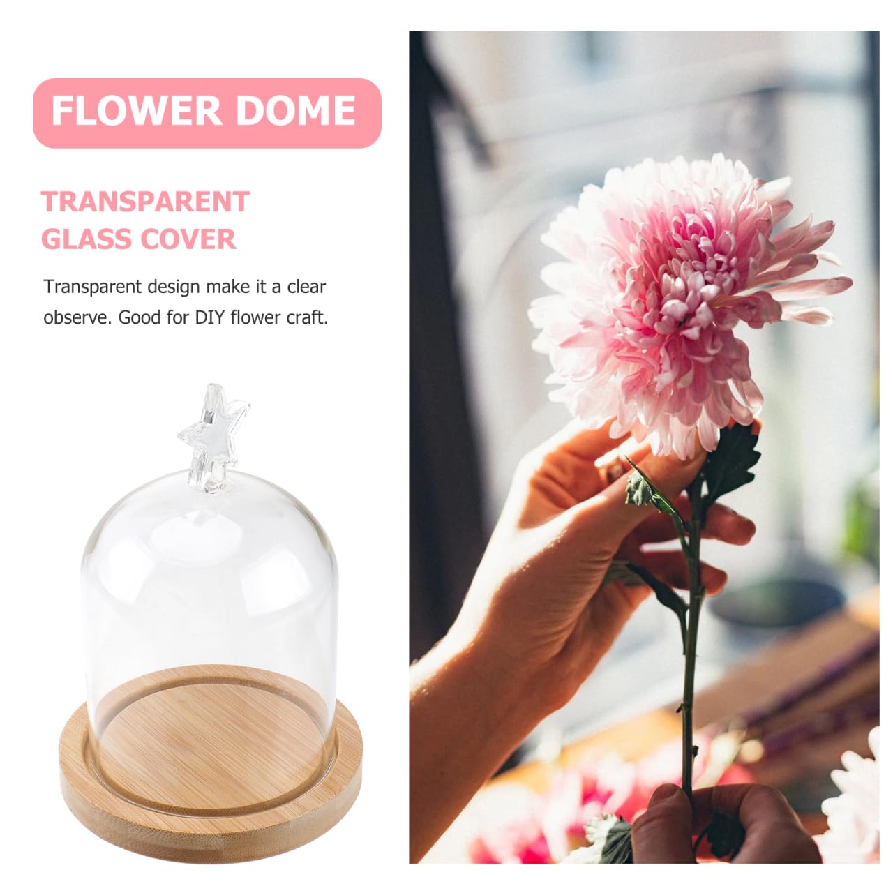 ULTECHNOVO Glass Display Dome Cloche with Solid Wood Base, Clear Glass Dome Cloche Bell Terrarium Jar for Plants, Collectibles And Figurines