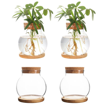 CHPINDAM Plant Propagation Station,Hydroponic Glass Container Vase Jars, with Wooden Saucer for Desks, Houses, Garden Decorations, Home Kitchen Decorations and Gifts for Plant Lovers (4)