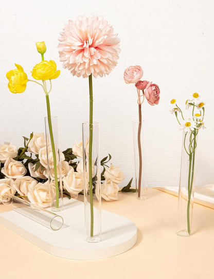 8 Tube Glass Plant Propagation Stations Clear Glass Test Tubes Tiered Planters Accessories for Home Office Plant Hanger Flower Vases Wall Decor Hydroponic Cuttings Clear Vases