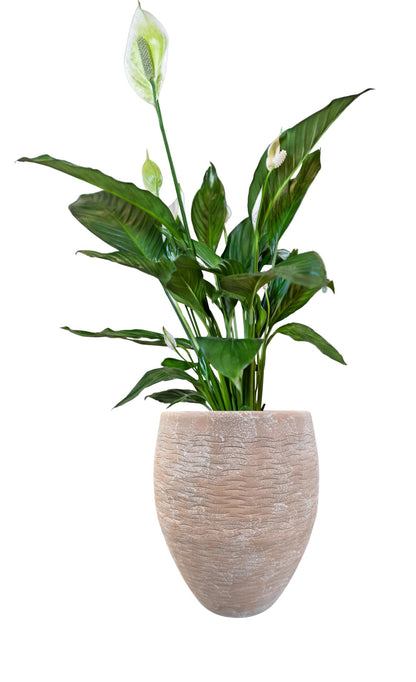 Ludu Washed Terracotta Modern Handmade Metal Indoor Planter with Textured Wave Design and Anti-Scratch Pads, Rust-Resistant Finish for Outdoor Use, Sustainable Non-Plastic Pot Recyclable Metal Vase