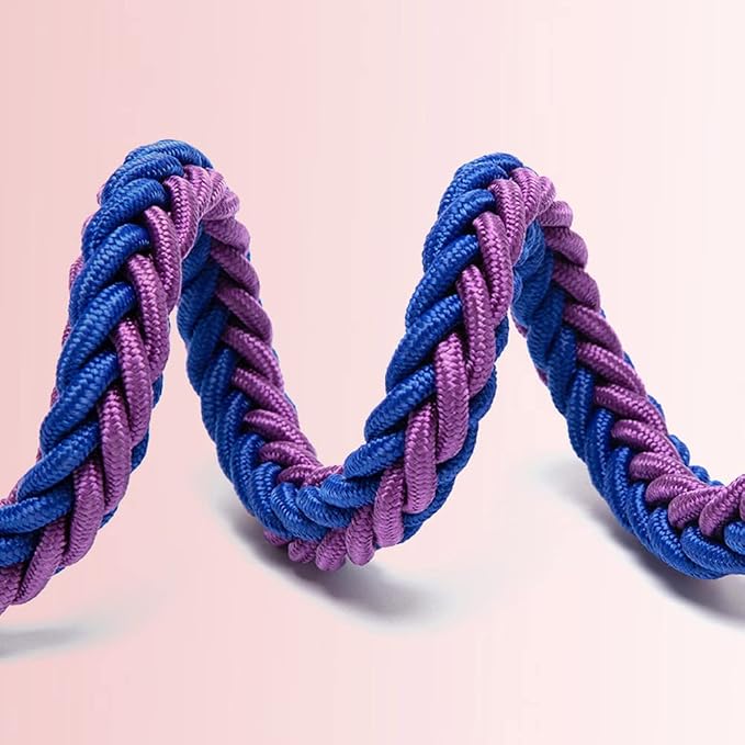 Love Dream Dog Collar and Leash Set, Heavy Duty Nylon Braided Rope Strong 4 FT Dog Leash and Martingale Training Collar for Small Medium Large Dogs Training and Walking (Blue & Purple)