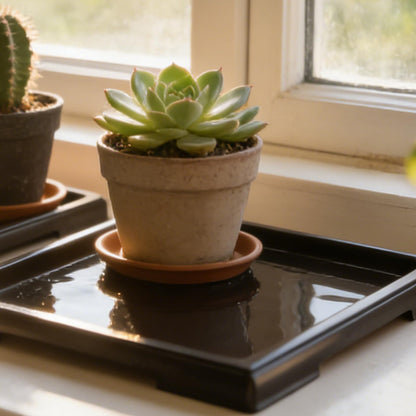 MUKLEI 8 Pack Plastic Bonsai Humidity Drip Trays, Rectangular Plant Water Catcher Tray, Humidity Tray for Indoor Plants, Bonsai Tree, Succulents, Cactus, Black(11.4 x 8.5 Inch)