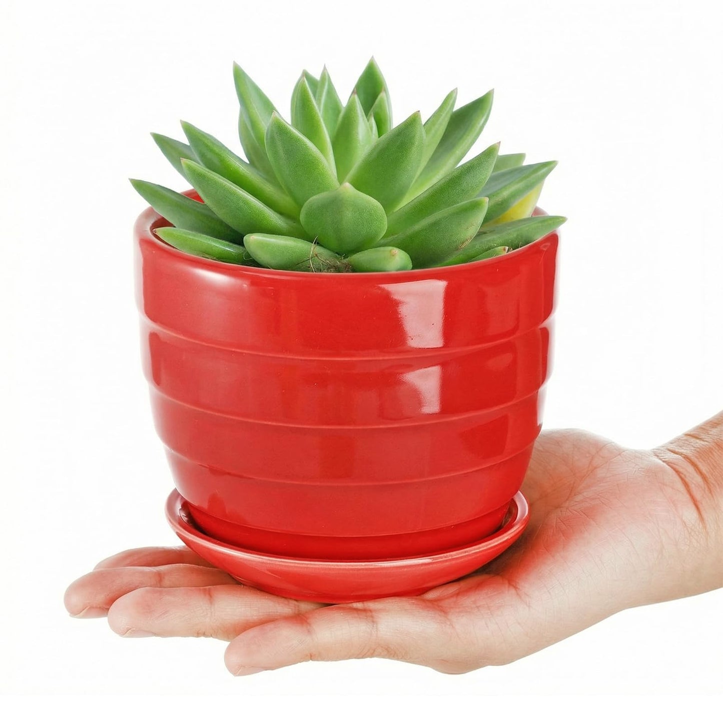Elsjoy 6 Pack 4.3 Inch Ceramic Succulent Pots with Drainage and Attached Saucer, Small Decorative Succulent Planter Cute Ceramic Flower Pots for Home, Garden