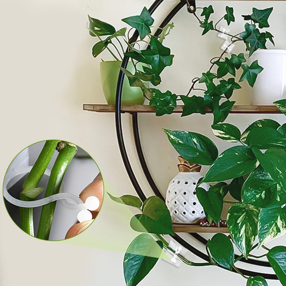 SMILEASE 2025 New Self-Adhesive Vine Support Binding Clip Invisible Plant Fixation Hooks for Gardening,Plant Wall Clips for Climbing Plants, Wire Cable Storage Management (Green, 300PCS)