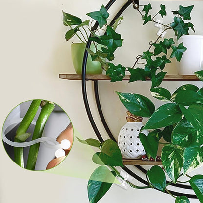 SMILEASE 2025 New Self-Adhesive Vine Support Binding Clip Invisible Plant Fixation Hooks for Gardening,Plant Wall Clips for Climbing Plants, Wire Cable Storage Management (Green, 300PCS)