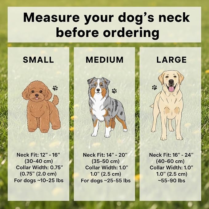 Dog Leash and Collar Set – 6 FT Strong Rope Leash with Padded Handle & Adjustable Nylon Collar Reflective for Small Medium Large Dogs (Orange, S)